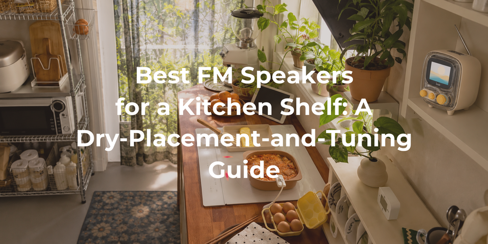 An FM speaker on a dry kitchen shelf away from cooking and washing areas.