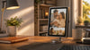 I Tried Divoom Times Frame for 30 Days - Why Everyone's Buying